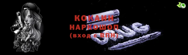 PSILOCYBIN Бородино