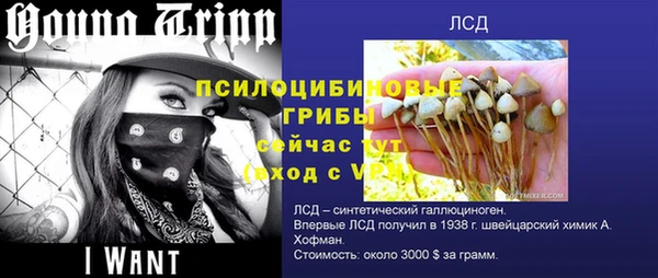 PSILOCYBIN Бородино