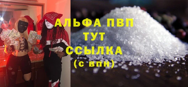 PSILOCYBIN Бородино