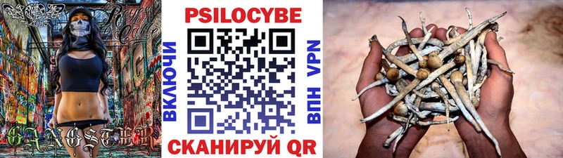 блэк спрут как зайти  Острогожск  Псилоцибиновые грибы Magic Shrooms  где купить наркоту 